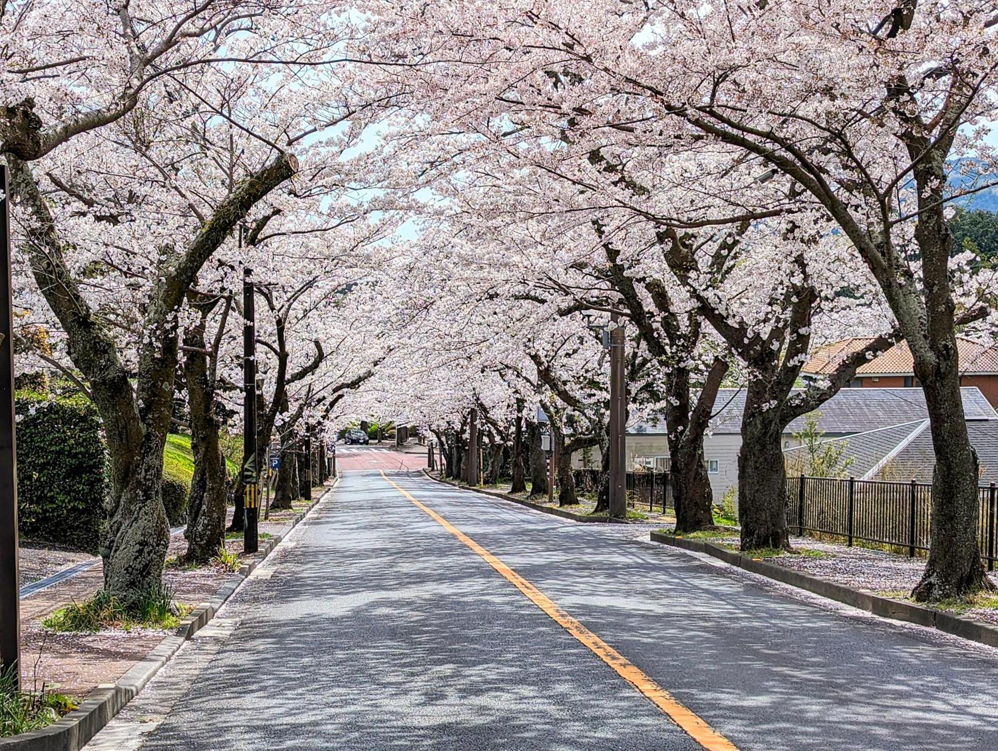 Nutic Izu - 伊豆の一棟貸切ホテル 伊東市 エクステリア 写真